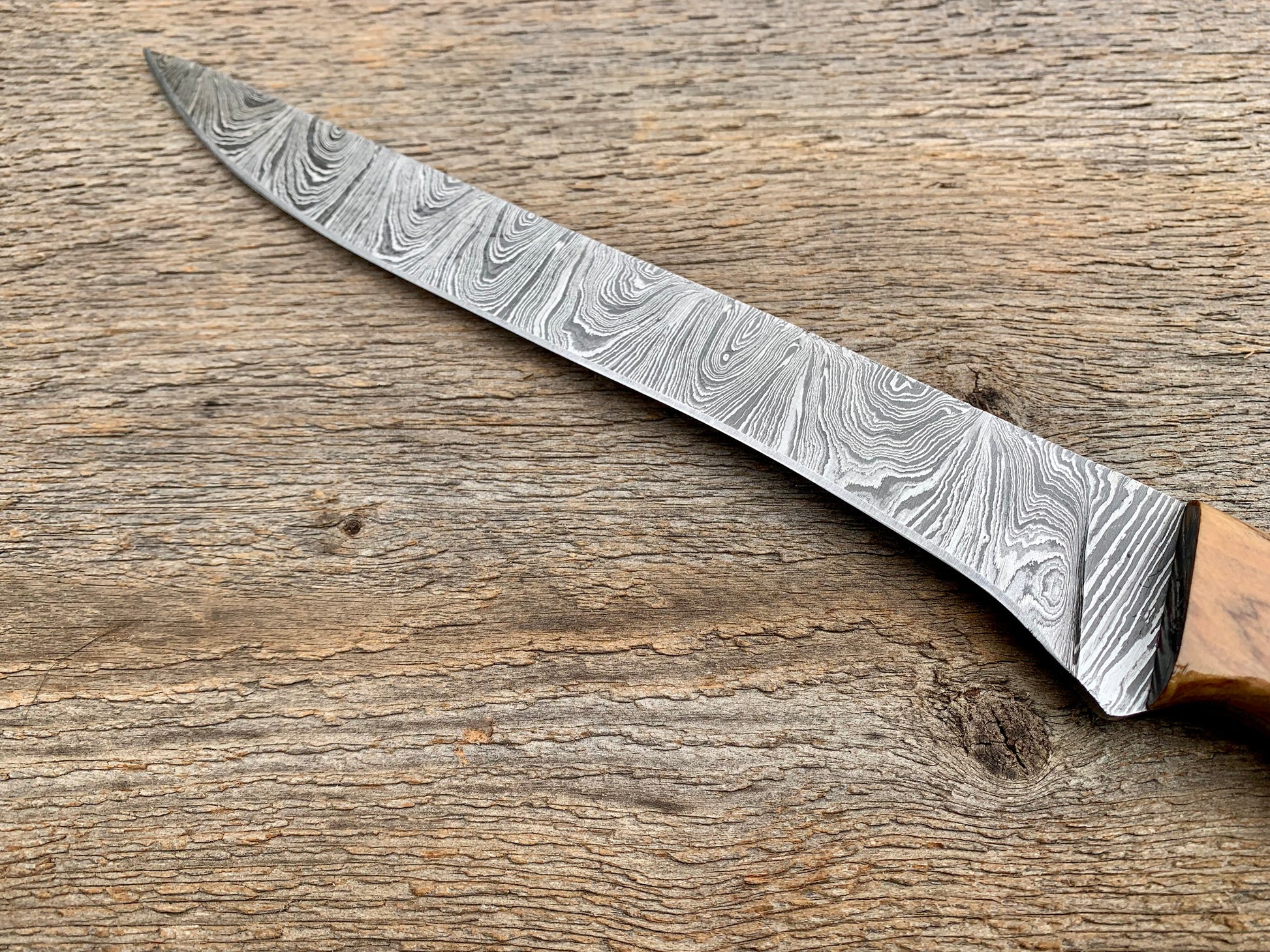 Fishing Damascus Steel Filet Knife – Camcar Blades